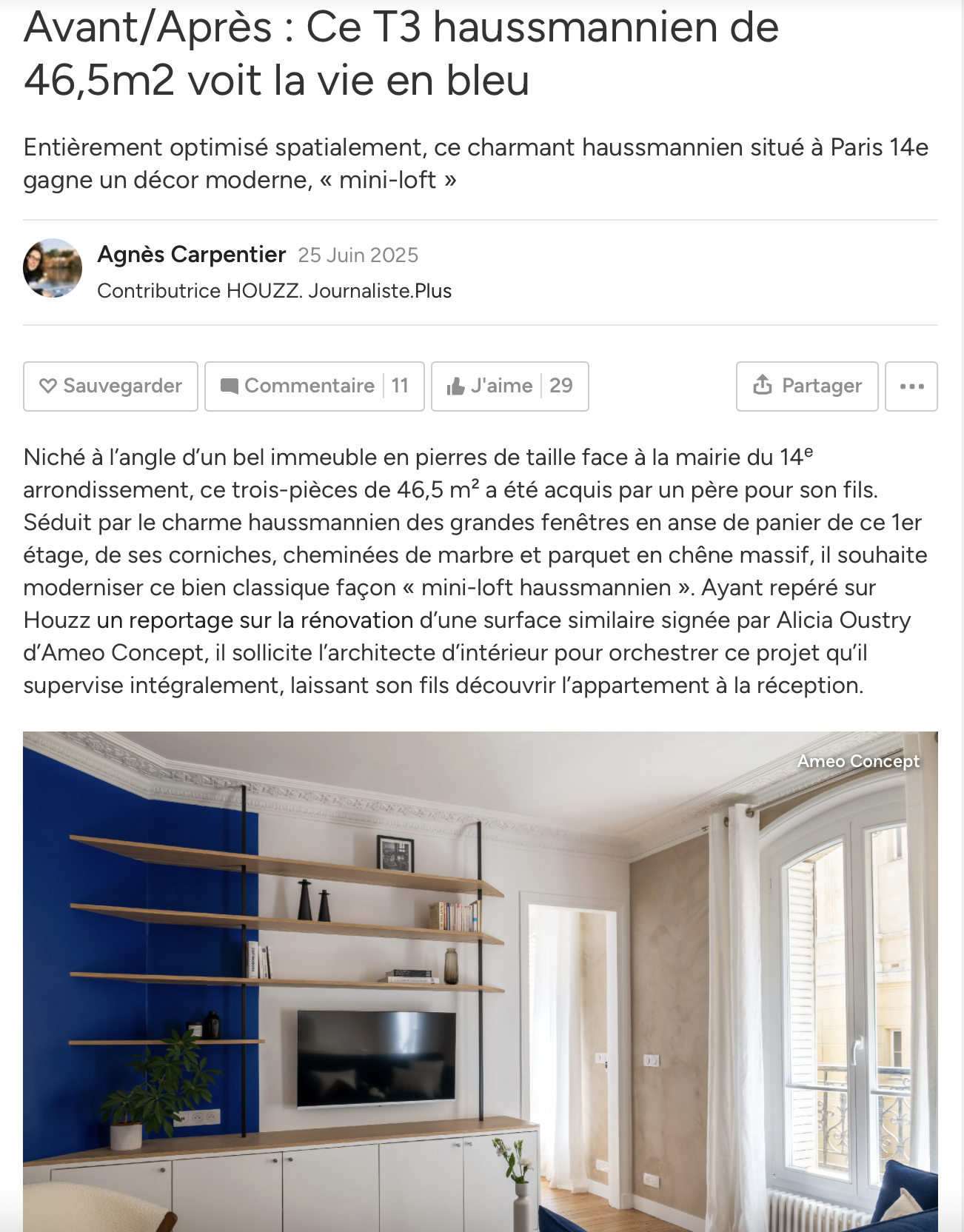Houzz – Ce T3 haussmannien de 46,5 m2 voit la vie en bleu